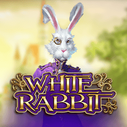 White Rabbit